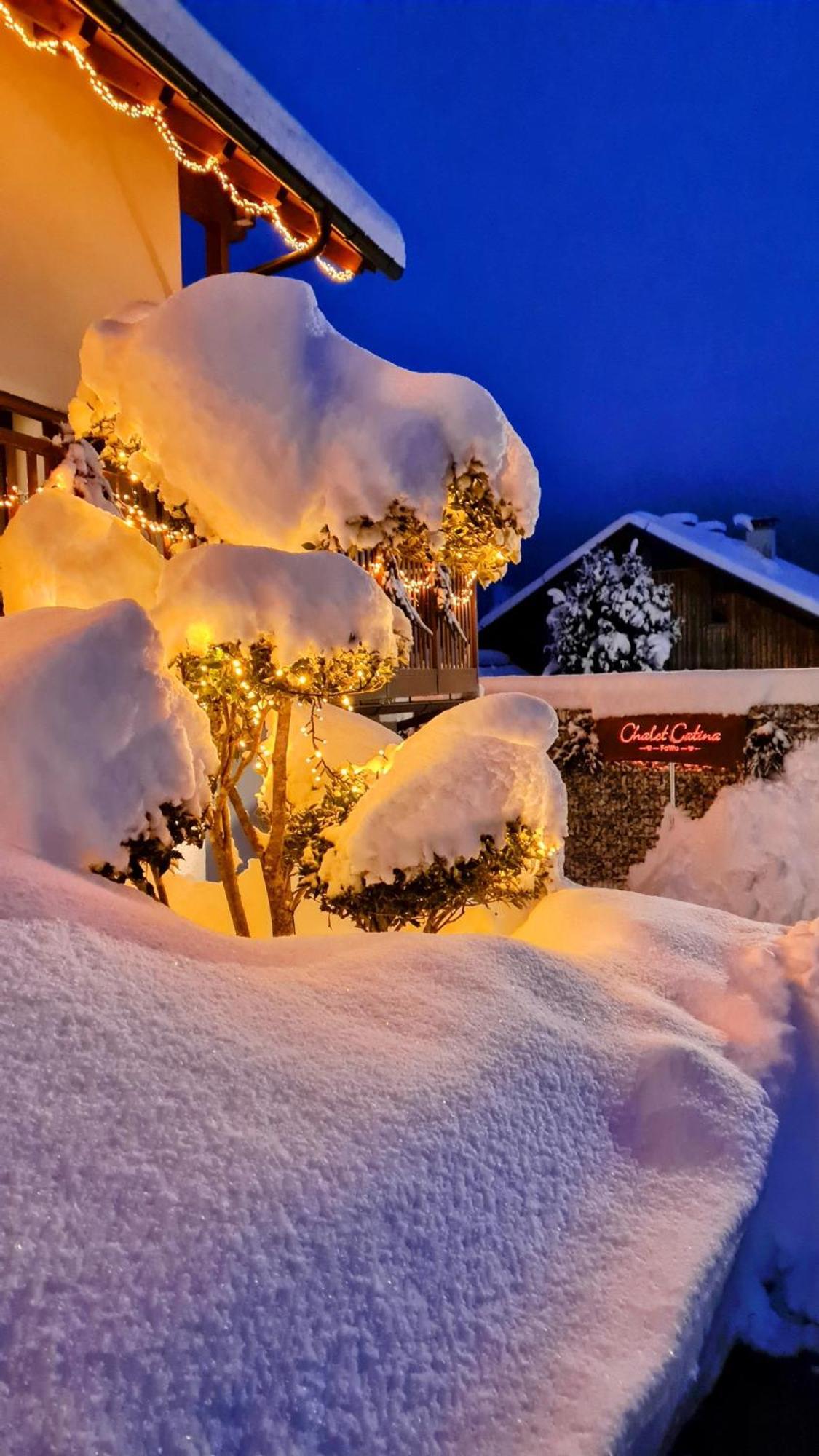 Apartment Catina - Kaernten Card Im Sommer Inklusive -